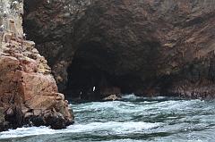 1150-Isole Ballestas,19 luglio 2013